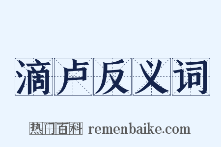 滴卢反义词是什么意思的图片